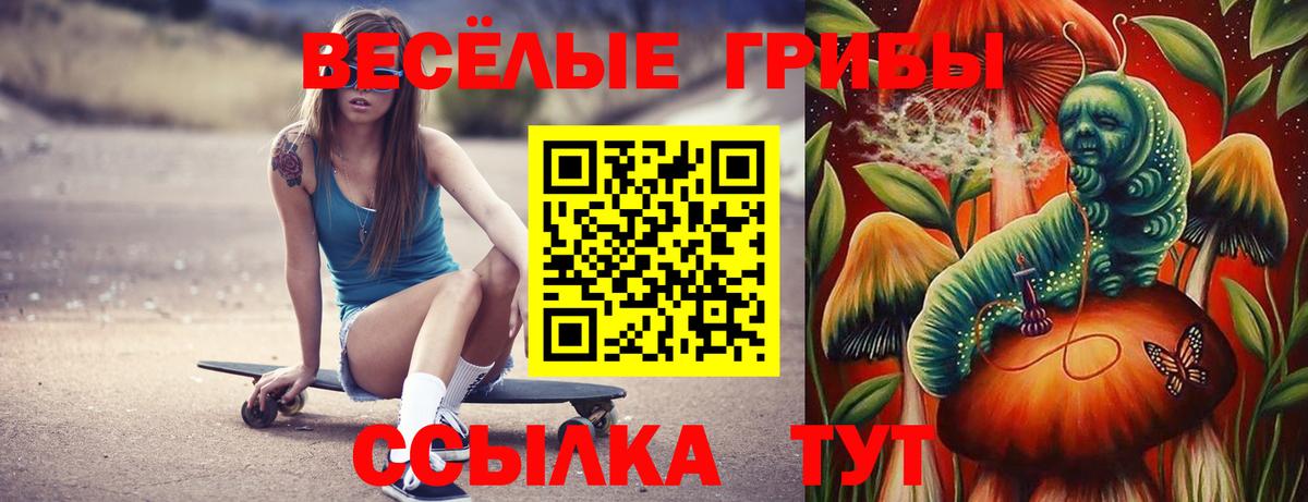 Тейково  Галлюциногенные грибы MAGIC MUSHROOMS  Вход с VPN 