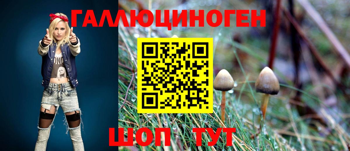 Галлюциногенные грибы GOLDEN TEACHER Тейково